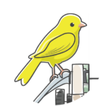 A Yellow Bird